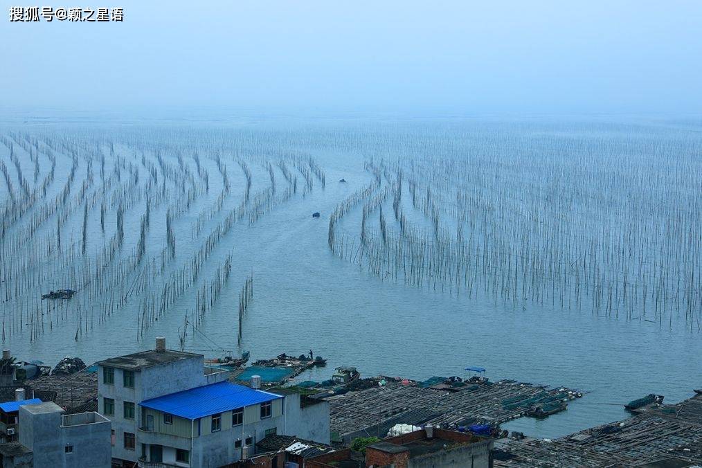 八闽海鲜出霞浦网红榕树群海上威尼斯