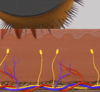 镜子|以前拿央视镜头当镜子，现在十级滤镜都磨不平，刘亦菲鼻子到底咋了？