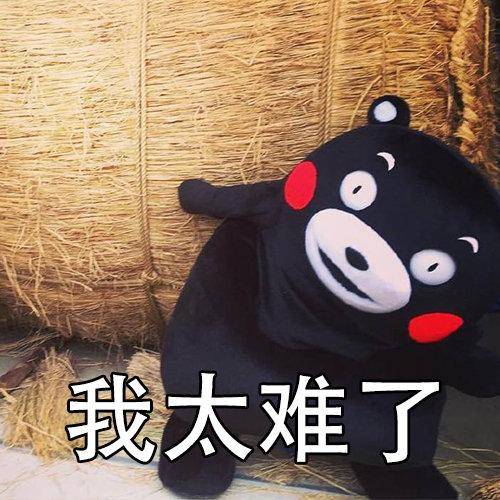 2020河南大学录取分_北京社会管理职业学院2020年河南专科批录取分数线(2)