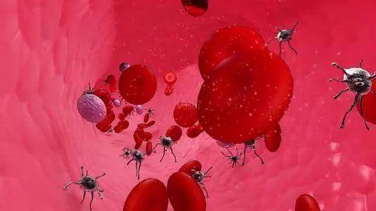 自由基对人体危害视频 17029c2bec654c72ab87b64f1440fabb.jpeg