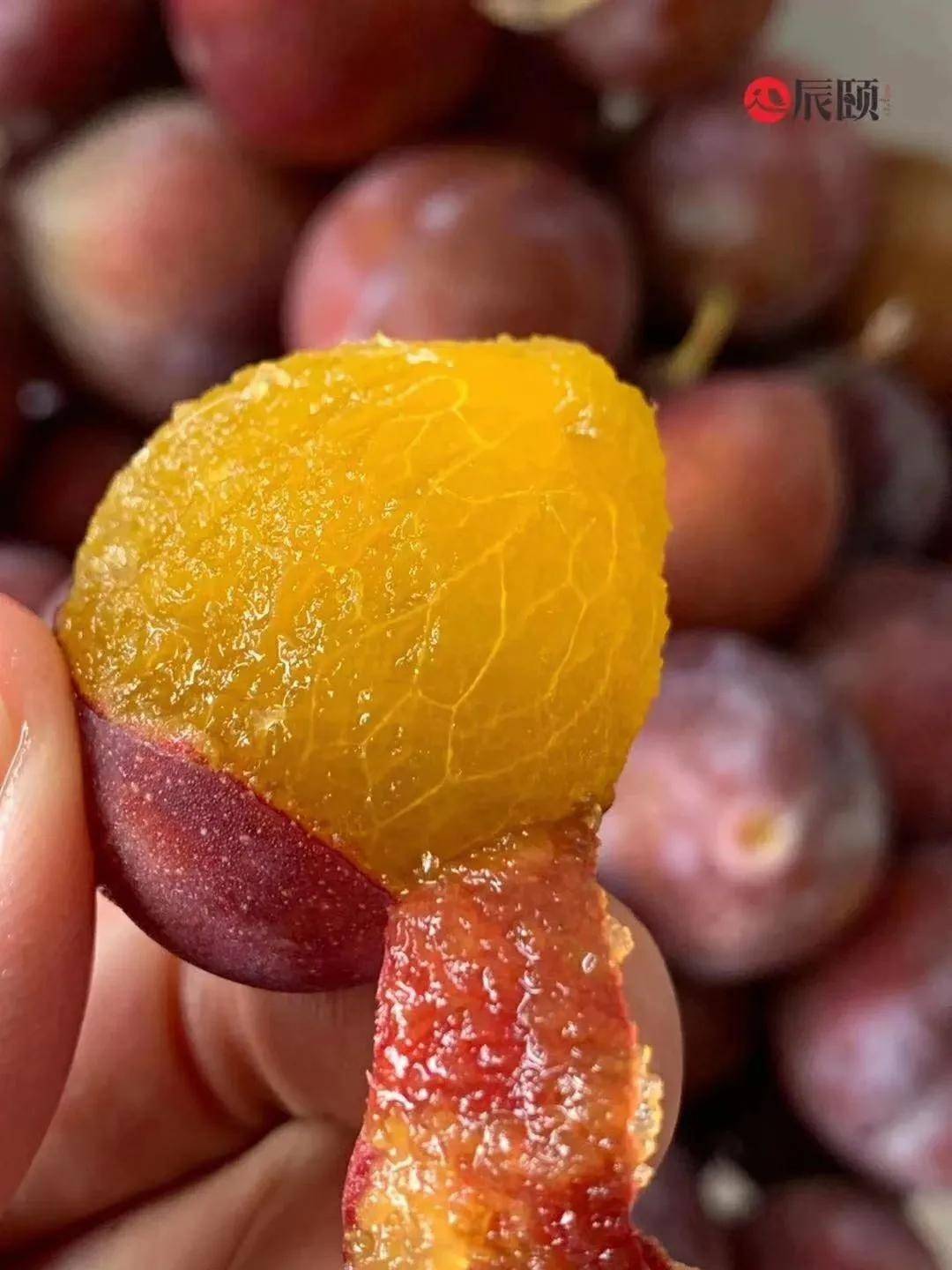 辰颐物语:新疆西梅,尝鲜期仅1个月左右!错过就要等一年啦