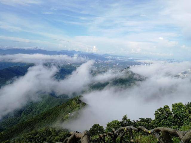 实拍深圳梧桐山云海,太美了,我有点不敢相信我看到的