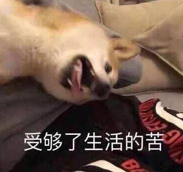 0a3b81fb981a47ada7948d3d99256b38.jpeg