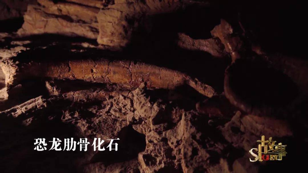 中国|中国“神奇灵武龙”,究竟因何而神奇？