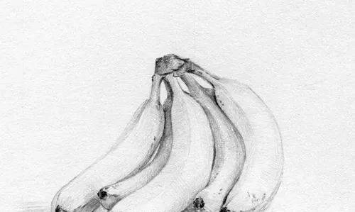 怎么学画画素描 d3b201ff5ccf448689b069311e0b1de2.jpeg