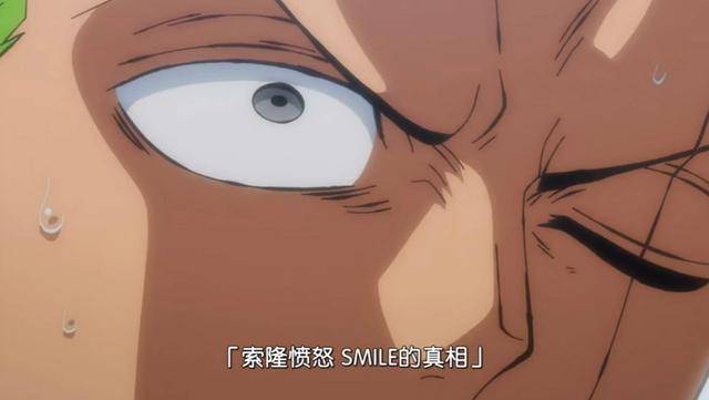 《海贼王》动画版940集预告中“SMILE”的真相是什么？_果实