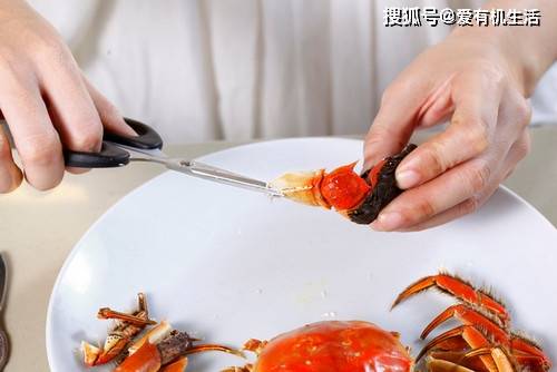 螃蟹怎么吃钳子 e7b5697873554456952219f376859d19.jpeg
