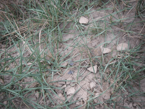 安特生|五千年遗址话沧桑—记陇西文峰暖泉山遗址