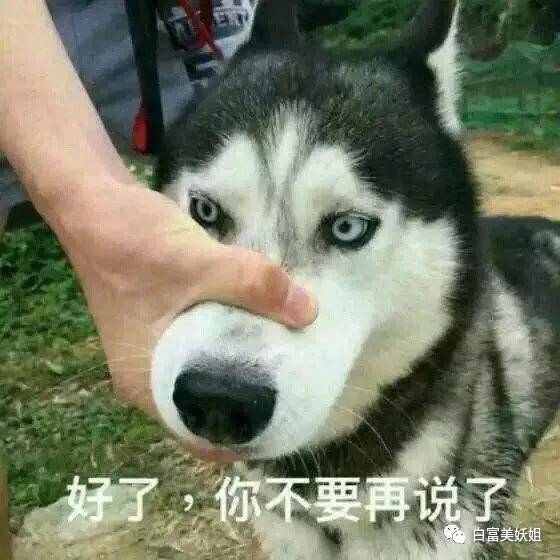 阿四|B站学霸网红靠一张脸赚百万，还让50w人酸她的爱情…