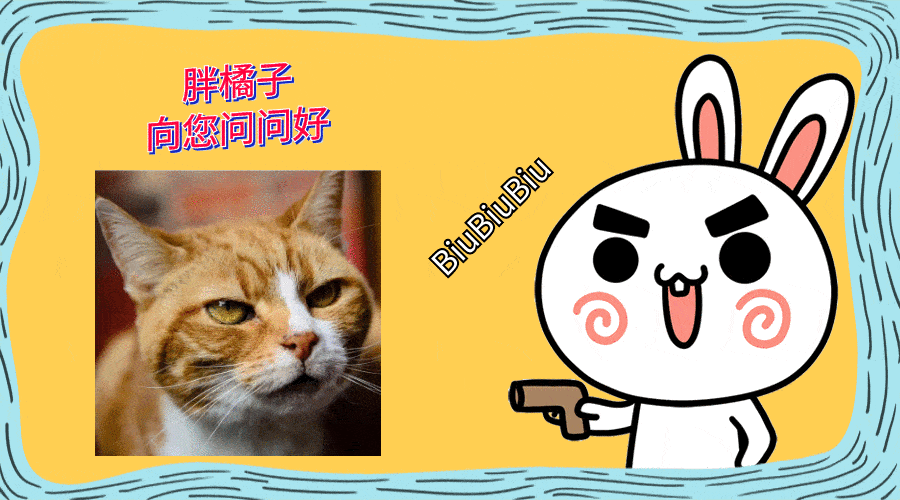 日本一猫咪老年走红，成功cos过上百位知名角色，年龄不是问题！_克拉