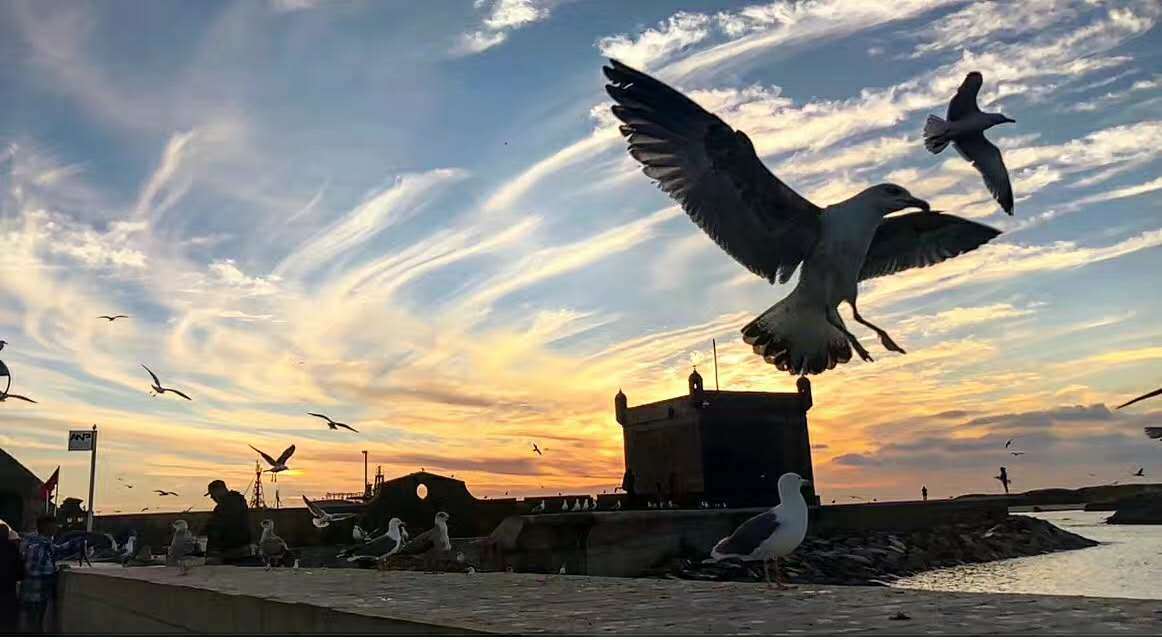科技|旗天科技半年报：核心财务指标大降！金融科技转型之痛