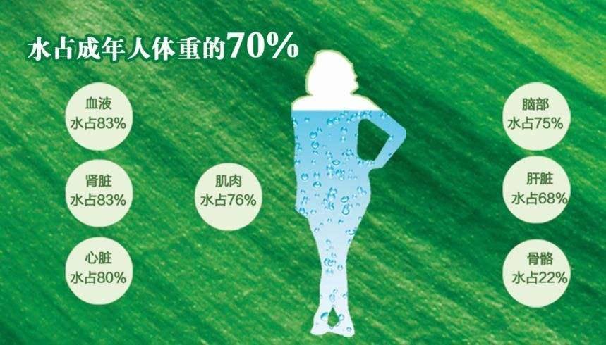 例如水约占人体组成的70(性别,不同年龄段有差异,当人体失水大于6%