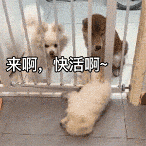 ca624a37254d4c8da33722176022b625.gif