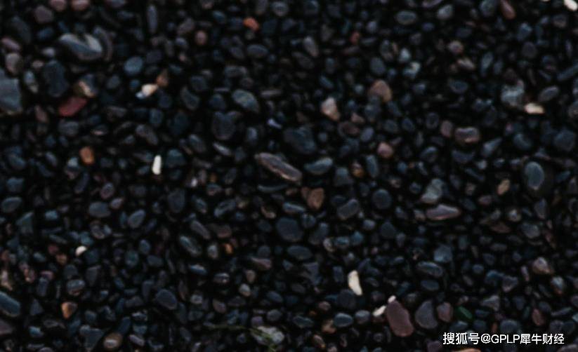 同比|黑芝麻又“糊”了 上半年由盈转亏2742万元 一季度亏损严重