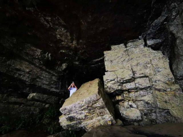 燕子洞,位于龙山县八面山景区,海拔高度接近1100米,大大小小的洞口