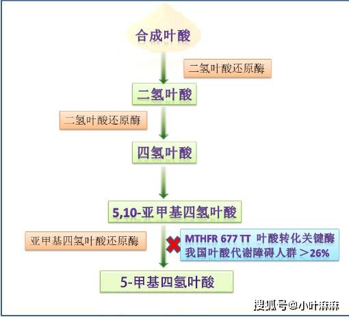2b851ff330f44137836d52518af26c82.jpeg