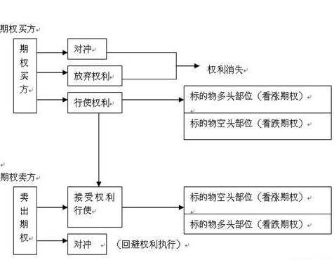 如何买期权什么是股票期权