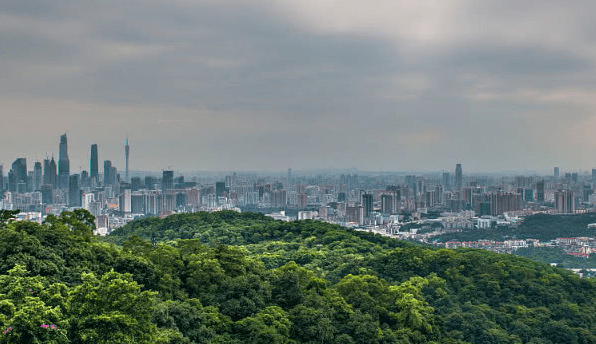 佛山GDP被众多省会超越_佛山南庄四中女生被摸(2)