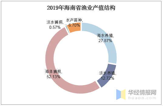 海南2019年的经济总量_海南经济频道