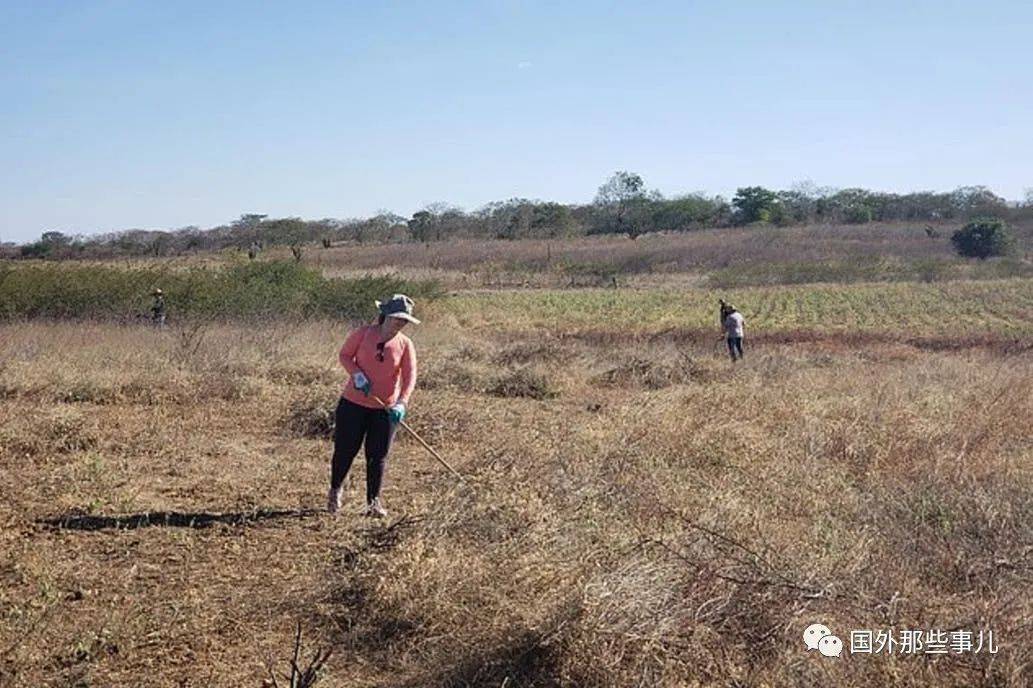 陨石|小镇突降大量陨石，一块最高价值18万元，有人因此“暴富”