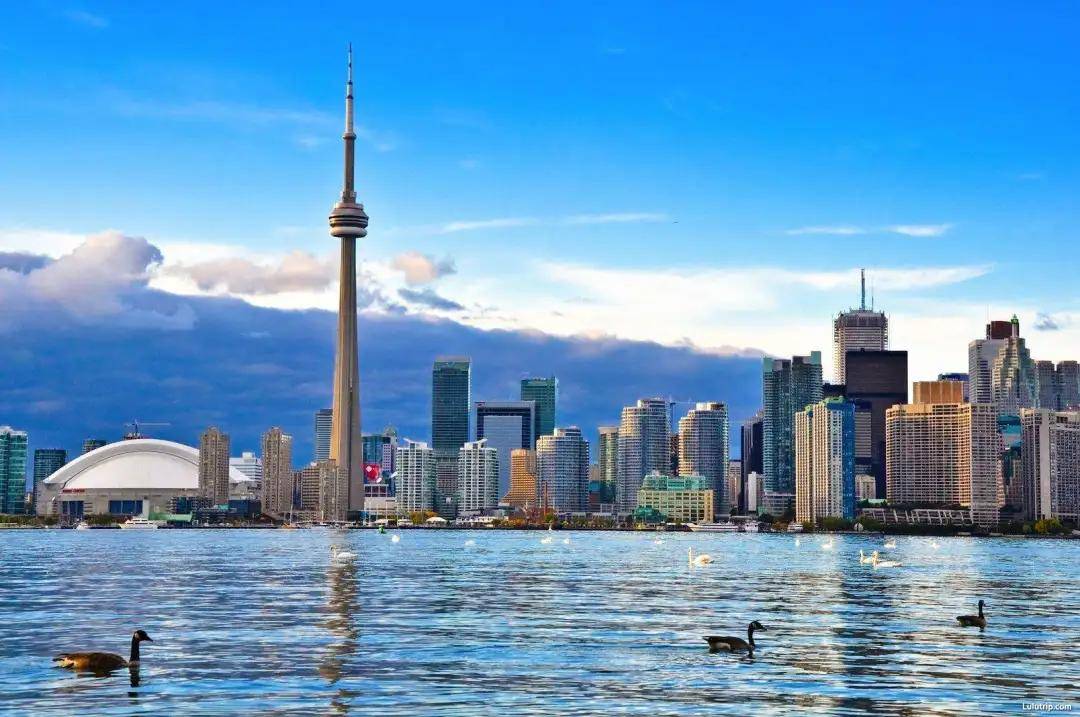 看完不吃亏!加拿大新移民如何选择居住城市,温哥华or多伦多?