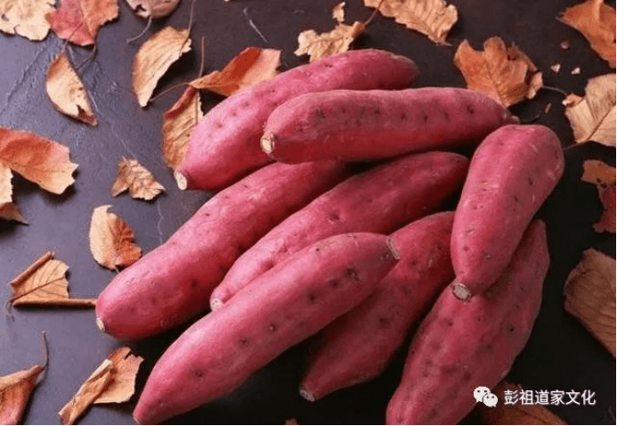吃什么可以减脂肪排油排毒 91c12968c0184ae986e58a54db54ec96.png