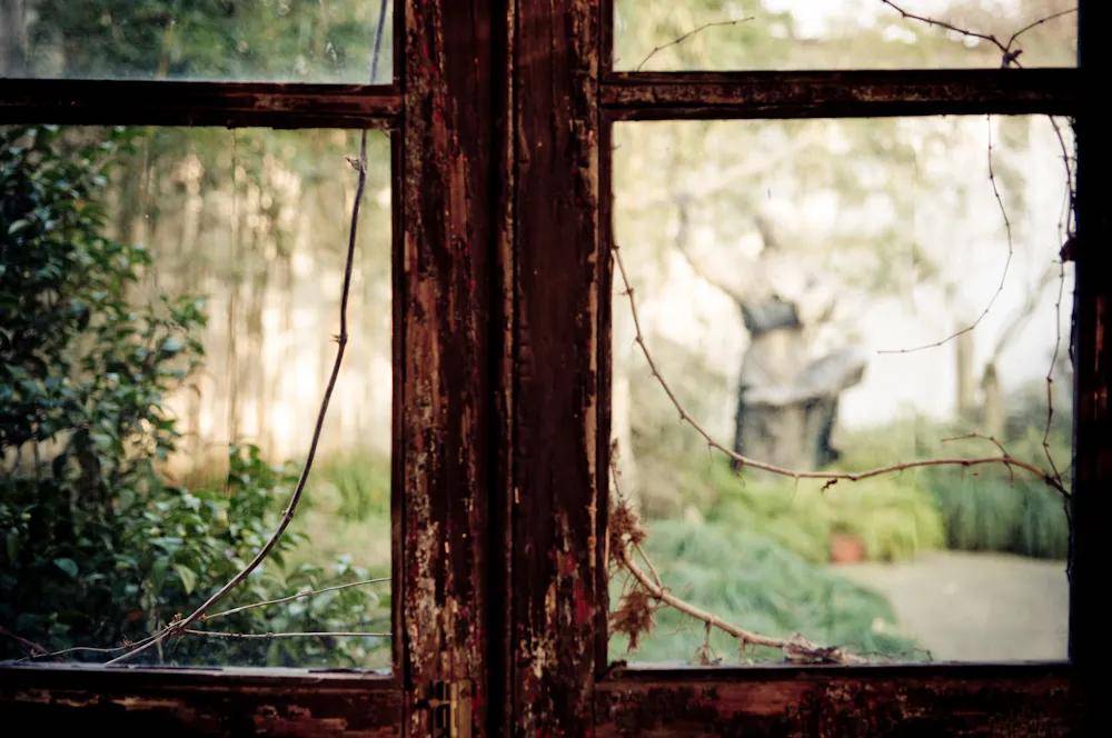 好奇心|如何在语文课堂教学中培养学生的创造性思维？