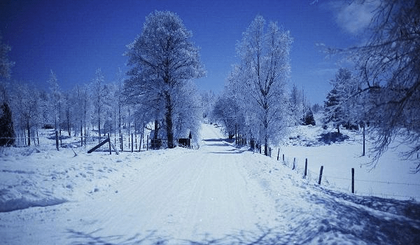 568e8c94914f404e90a56766c97023bd.png