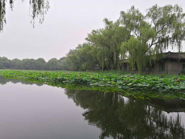 主管|速戳！这些你没注意过的高校，主管单位是谁？你知道吗？