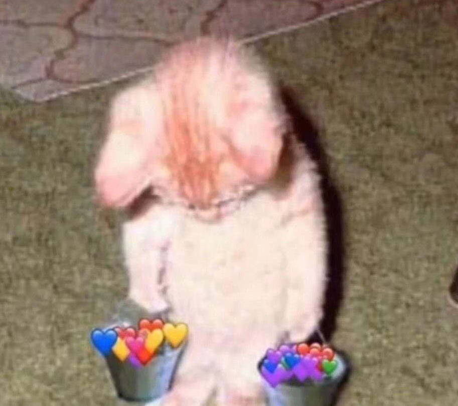 f66922edc04a45fcbd63fab9fc77ea4d.jpeg