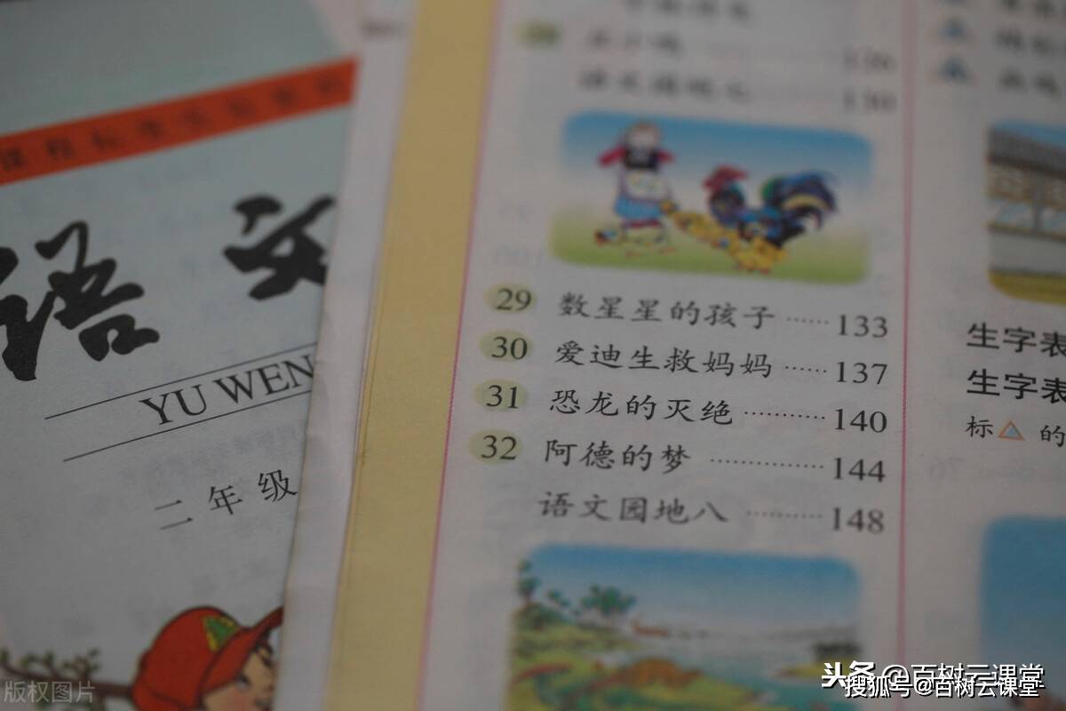 成语文什么书_语文书
