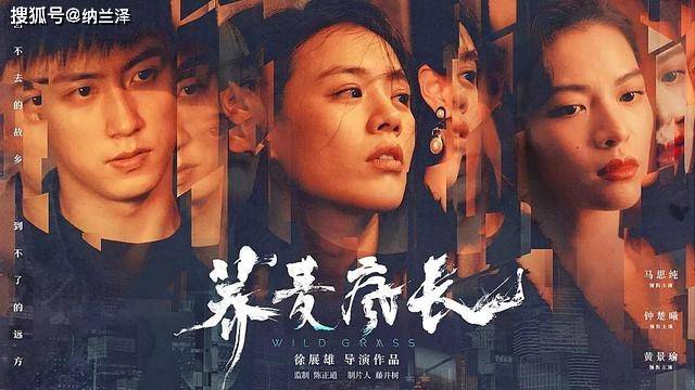 黄景瑜+马思纯，导演却只拍出了5000万的票房和4.5的豆瓣评分_电影