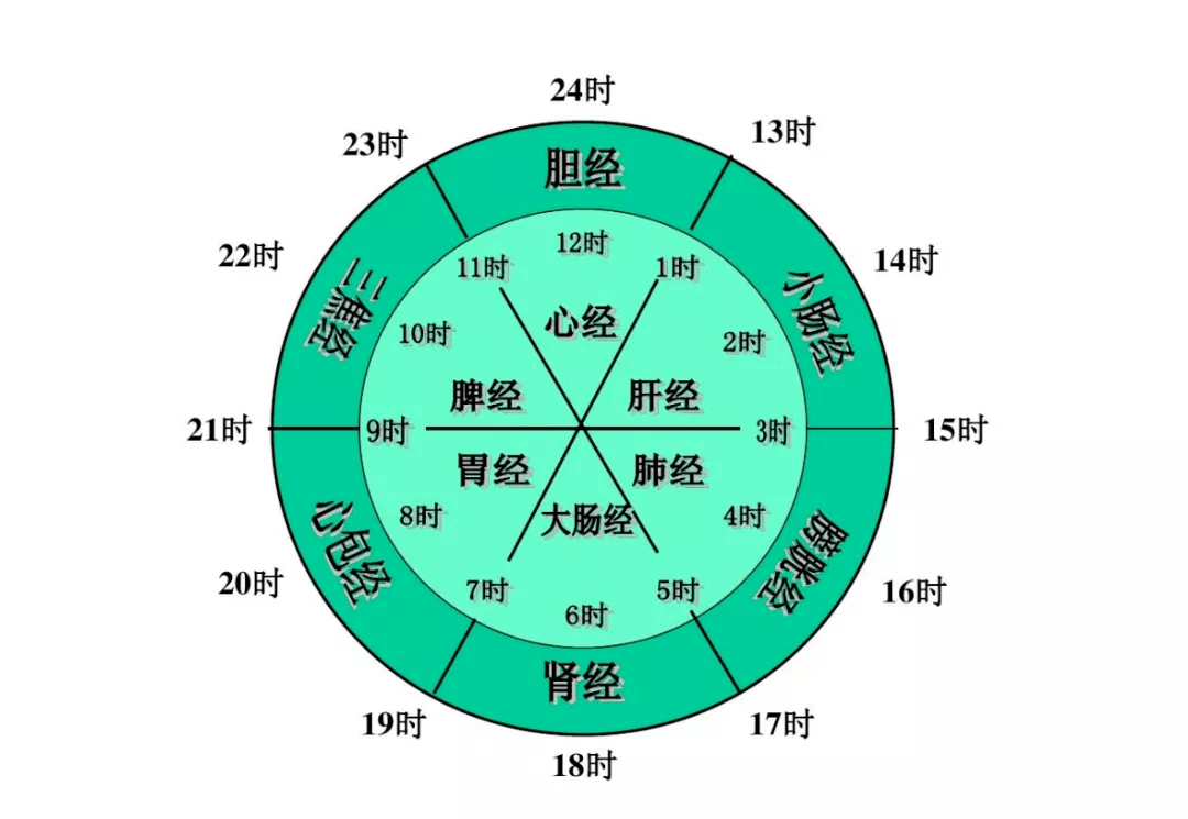 道医马元刚十二时辰养生之法之辰时养生胃经