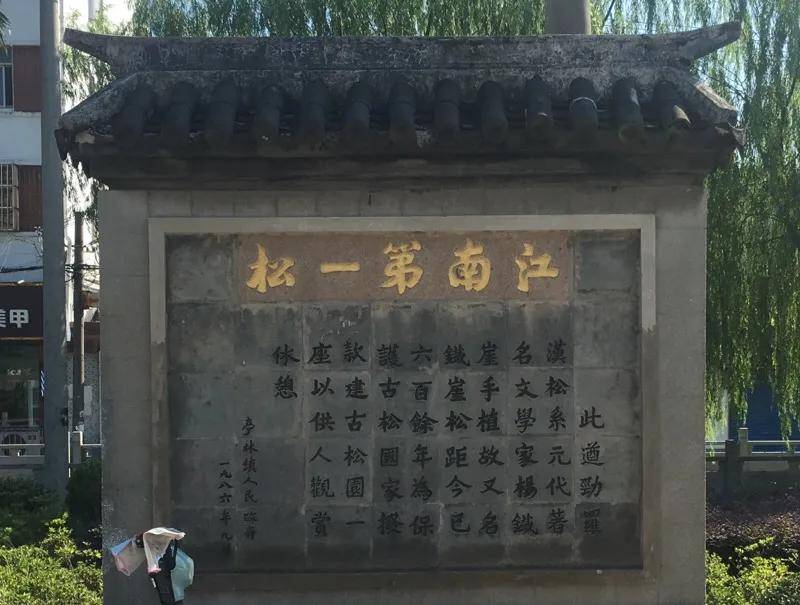 亭林古松园雅集