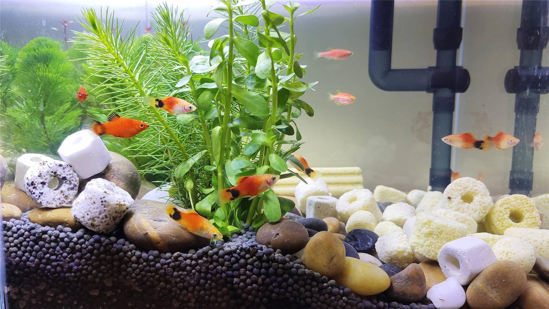 手感|iQOO 3变形金刚限量版，手感一流，要的就是这个范儿