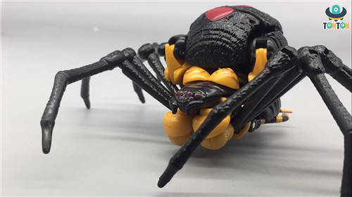 变形金刚Kingdom王国系列毒蜘蛛玩具实物图流出_包括