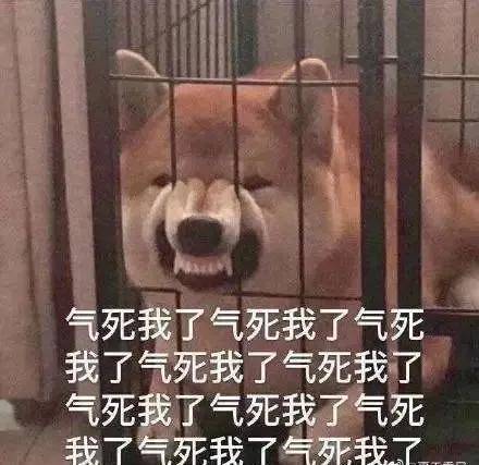 杨童舒|明明跟郭碧婷共用一张脸，她怎么就是恶毒女配的下场？