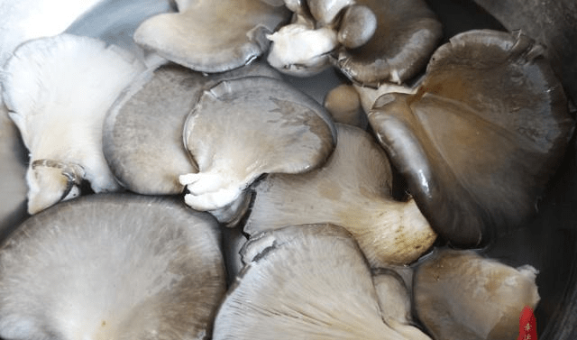 272d639ab069437b8326a0fc1b4a6d94.png