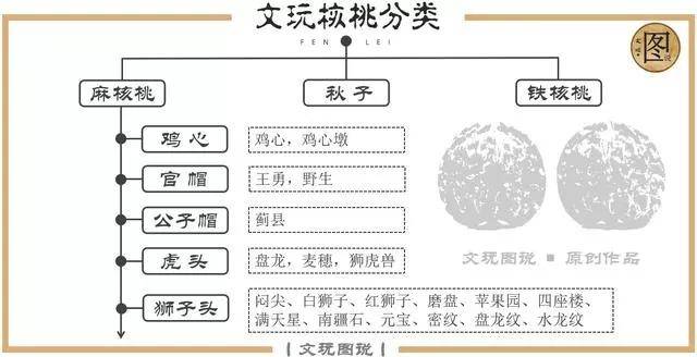 图说丨文玩核桃,文玩核桃分类大全,四大名核,看图就懂