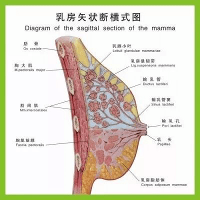 93cdb3f91be946af9ae3c08a9a1608d4.png
