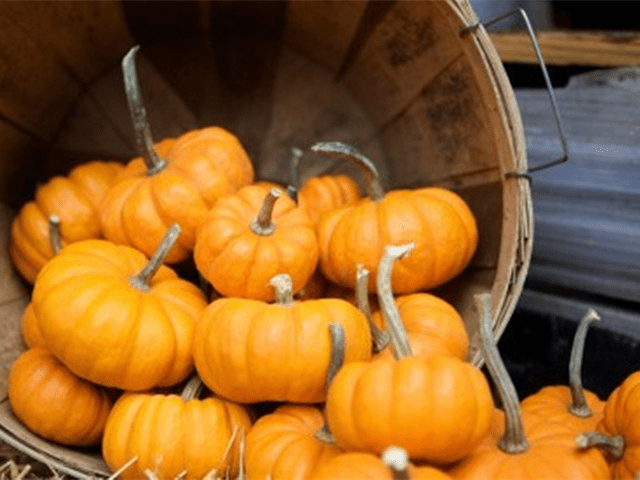 辣椒|嘴馋也要少碰，肠胃感谢你！比辣椒还“伤胃”的4种食物