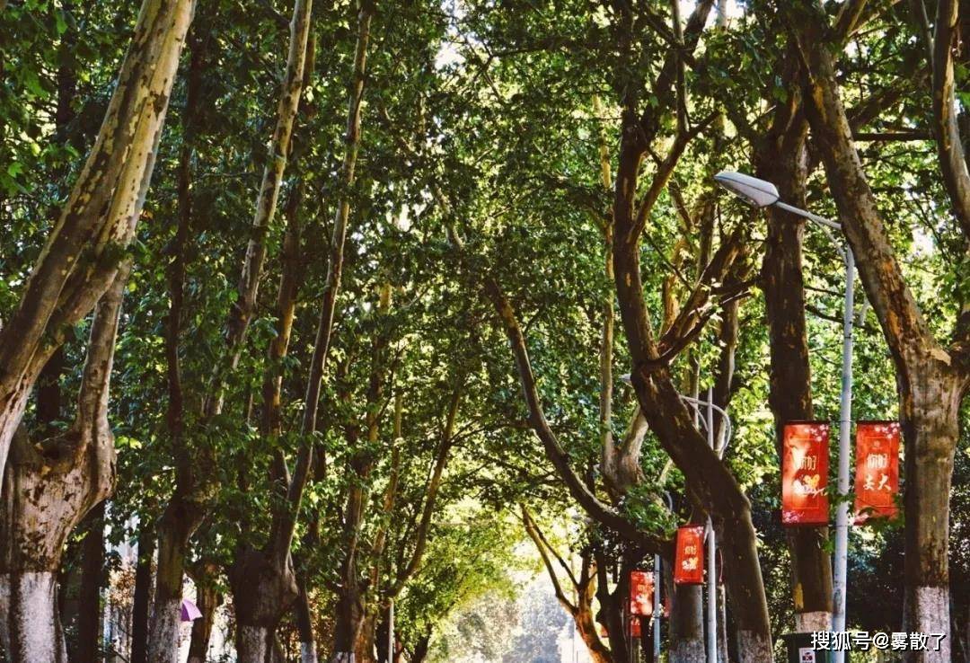 安徽大学调剂排名_安徽大学2020年硕士研究生招生调剂公告,含法律硕士