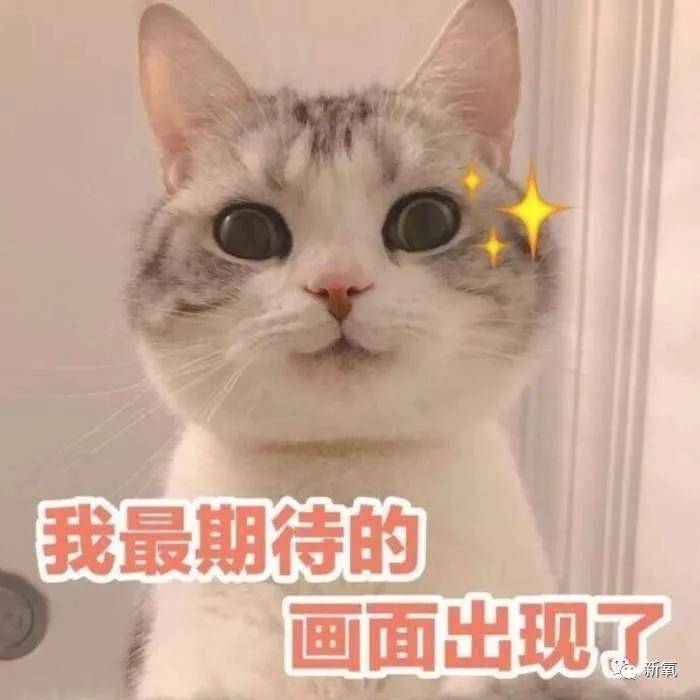 立体度|她不是安以轩亲妹吗？怎么出道5年都没火，还被骂到差点退圈？