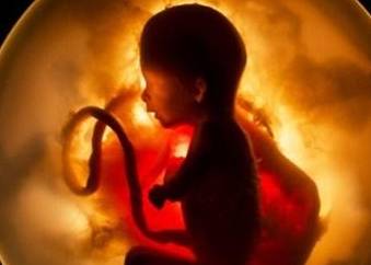 宝宝|便便都去了哪里?妈妈知道了别嫌弃宝宝在妈妈肚子里的时候