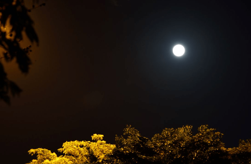 8839ea5114774180a277d7afcd5471ed.png