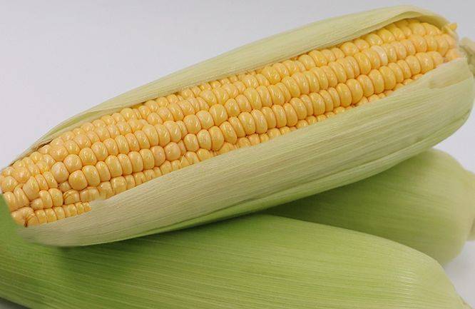 维生素|多吃以下四种食物，美容护肤，排毒瘦身，甩掉小赘肉秋天来了