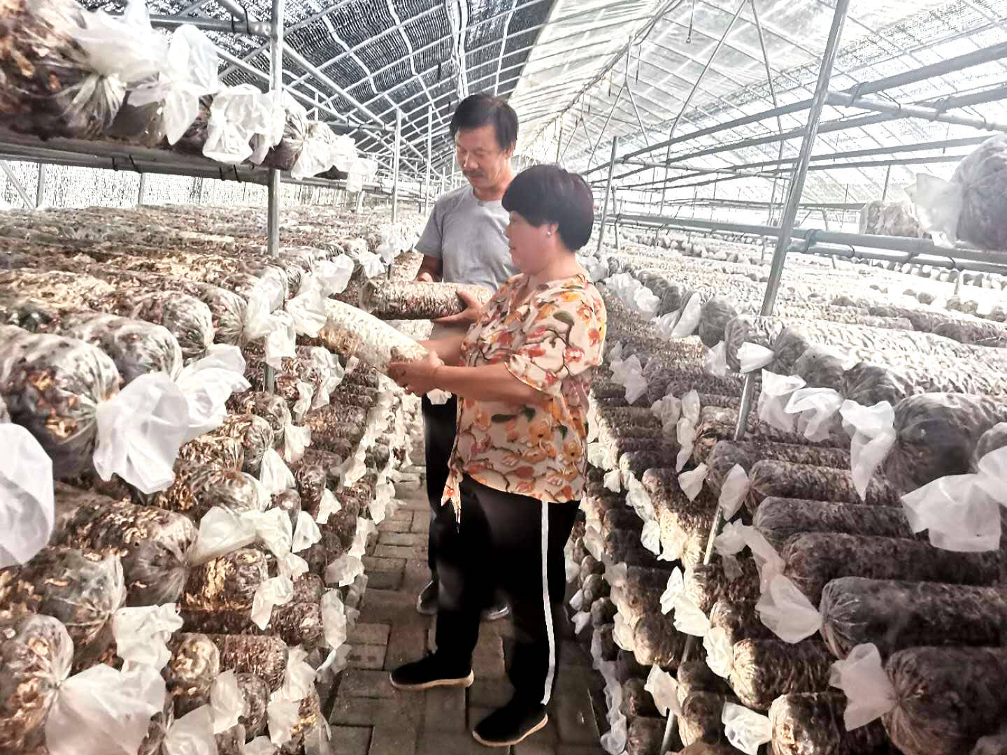同心县有多少人口(2)
