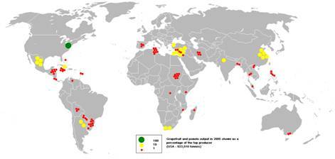 膳食模式和膳食结构区别 ea294851db6643f1a4275806f3a7496d.jpeg