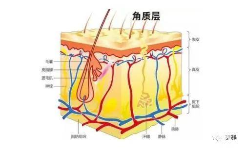硬杠|郭碧婷再传婚变？孕期硬杠、不愧是向太都制不住的女人！