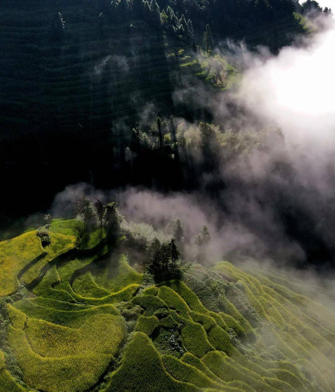紫鹊界|湖南省首届乡村文旅网红大赛总决赛即将在紫鹊界火爆开启